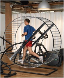 gym-rat+treadmill+wheel